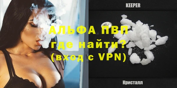 СК Медвежьегорск