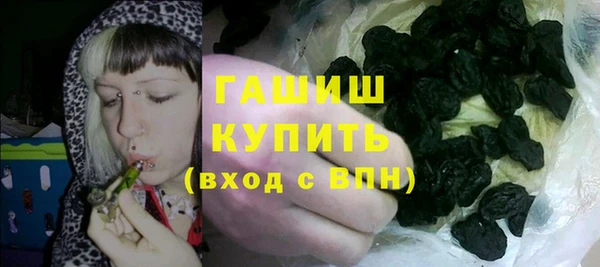 гидра Мегион