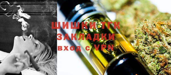 гидра Мегион
