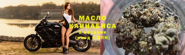 гидра Мегион