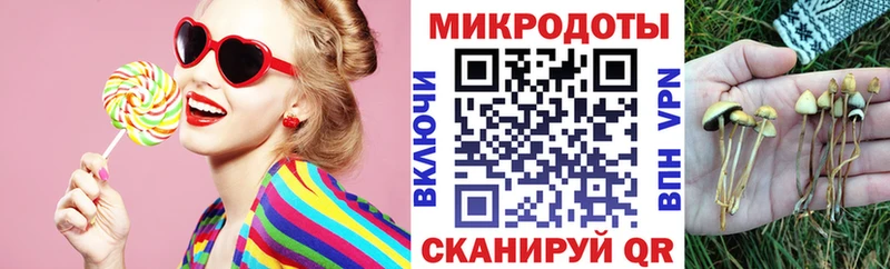 Галлюциногенные грибы Cubensis  Вытегра 