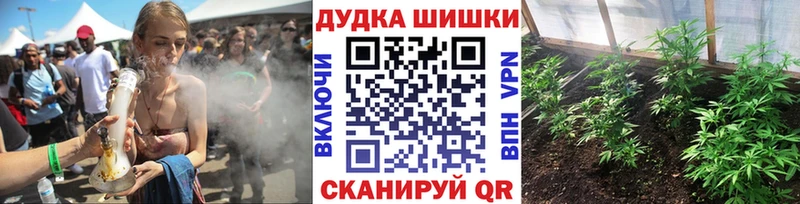 Шишки марихуана OG Kush Вытегра